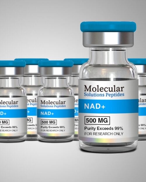 NAD+ (500mg) - 10ml vial 10-Pack (Adjusted pH)