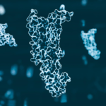 Peptide research