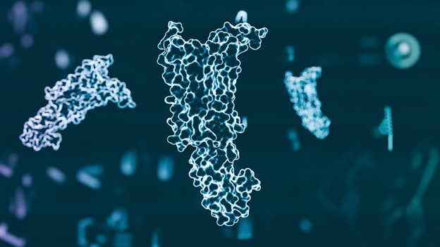 Peptide research